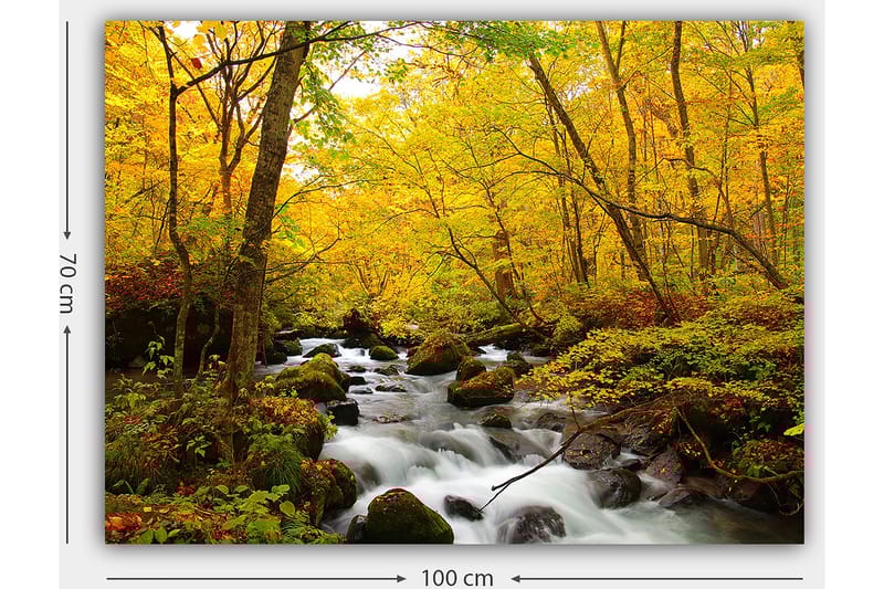 Lærred 70x100 cm - Smukt efterårsscene med en rislende bæk omgivet af gyldne og røde træer - Gyldengul / Mørkegrøn / Rød - Boligtilbehør - Billeder & kunst - Billeder på lærred