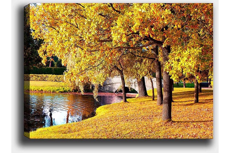 Lærred 70x100 cm - Smukt efterårsscene med gyldne træer, der spejler sig i en stille sø - Guld / Grøn / Brun - Boligtilbehør - Billeder & kunst - Billeder på lærred