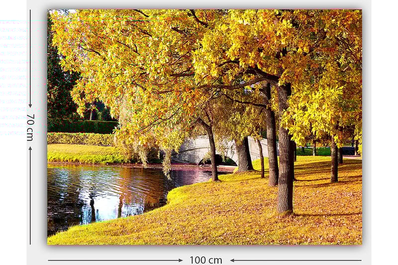 Lærred 70x100 cm - Smukt efterårsscene med gyldne træer, der spejler sig i en stille sø - Guld / Grøn / Brun - Boligtilbehør - Billeder & kunst - Billeder på lærred