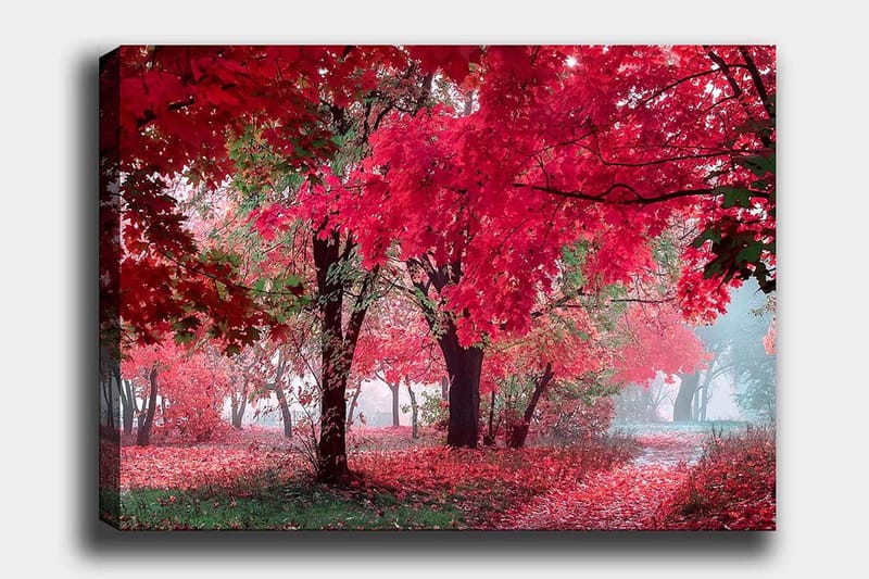 Lærred 70x100 cm - Smukt efterårsscene med røde og orange blade, der dækker træerne og jorden, Rød / Orange / Grøn