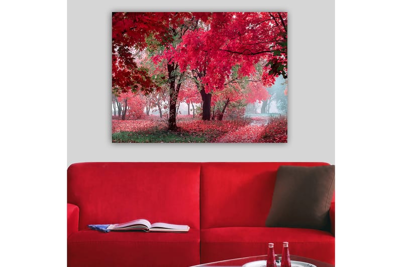Lærred 70x100 cm - Smukt efterårsscene med røde og orange blade, der dækker træerne og jorden - Rød / Orange / Grøn - Boligtilbehør - Billeder & kunst - Billeder på lærred