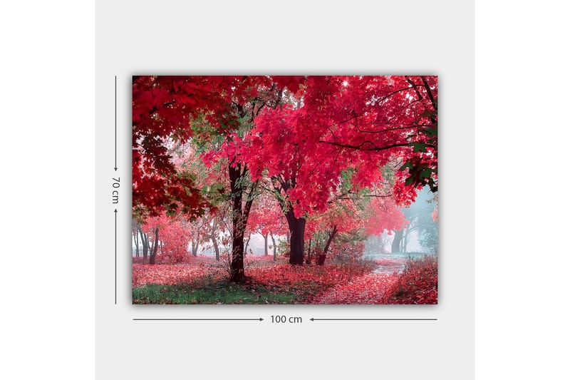 Lærred 70x100 cm - Smukt efterårsscene med røde og orange blade, der dækker træerne og jorden - Rød / Orange / Grøn - Boligtilbehør - Billeder & kunst - Billeder på lærred