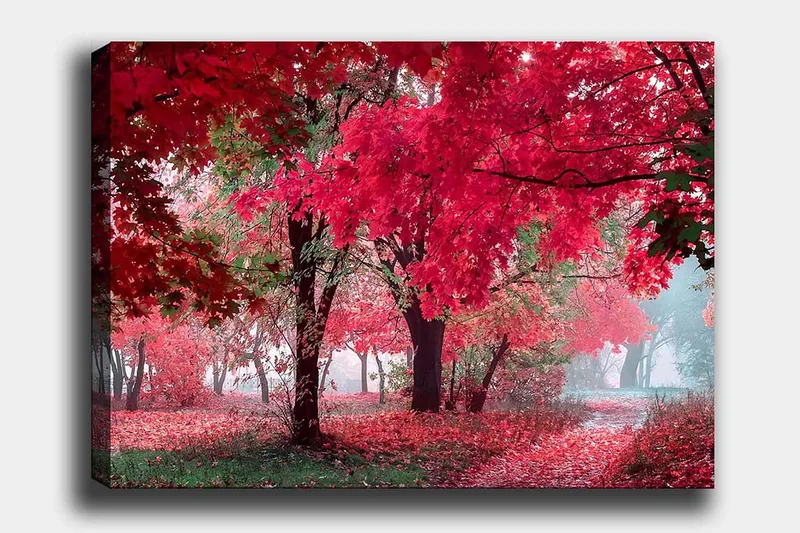 Lærred 70x100 cm - Smukt efterårsscene med røde og orange blade, der dækker træerne og jorden, Rød / Orange / Grøn