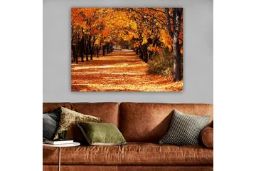 Lærred 70x100 cm - Smukt efterårsscene med træer i stærke orange og gule nuancer, der skaber en indbydende gangsti dækket af nedfaldne blade - Orange / Gul / Brun - Boligtilbehør - Billeder & kunst - Billeder på lærred