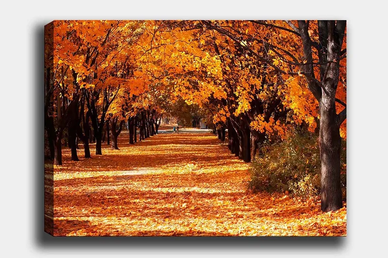 Lærred 70x100 cm - Smukt efterårsscene med træer i stærke orange og gule nuancer, der skaber en indbydende gangsti dækket af nedfaldne blade, Orange / Gul / Brun