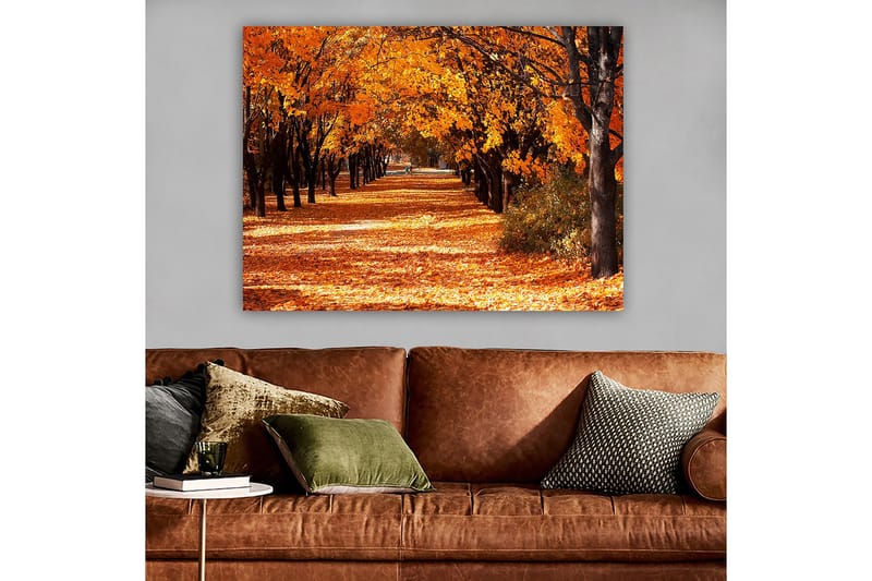 Lærred 70x100 cm - Smukt efterårsscene med træer i stærke orange og gule nuancer, der skaber en indbydende gangsti dækket af nedfaldne blade - Orange / Gul / Brun - Boligtilbehør - Billeder & kunst - Billeder på lærred