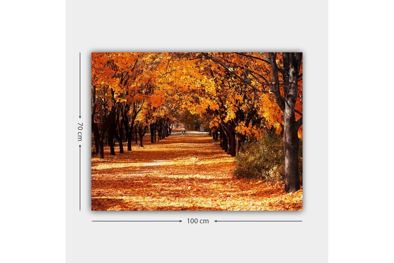 Lærred 70x100 cm - Smukt efterårsscene med træer i stærke orange og gule nuancer, der skaber en indbydende gangsti dækket af nedfaldne blade - Orange / Gul / Brun - Boligtilbehør - Billeder & kunst - Billeder på lærred