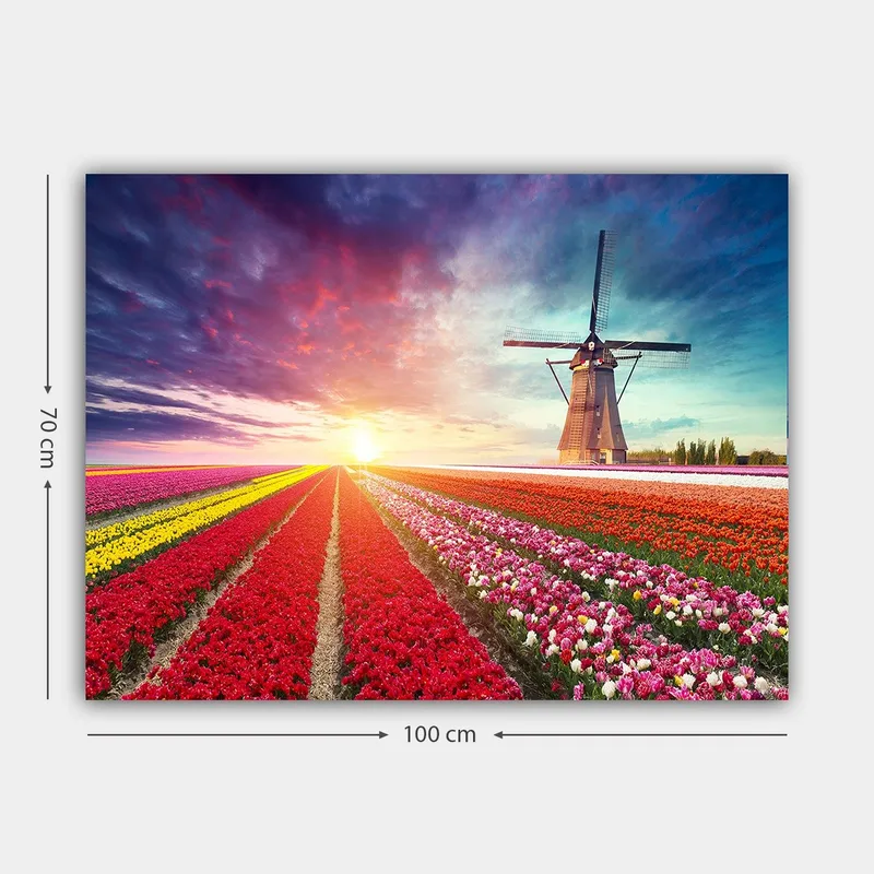 Lærred 70x100 cm - Smukt landskabsmaleri med tulipanmarker i forskellige farver og en vindmølle i baggrunden - Rød / Lilla / Gul - Boligtilbehør - Billeder & kunst - Billeder på lærred