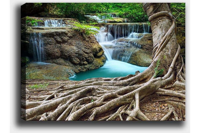 Lærred 70x100 cm - Smukt vandfald omgivet af frodigt grønt og robuste træstammer - Grøn / Blå / Brun - Boligtilbehør - Billeder & kunst - Billeder på lærred