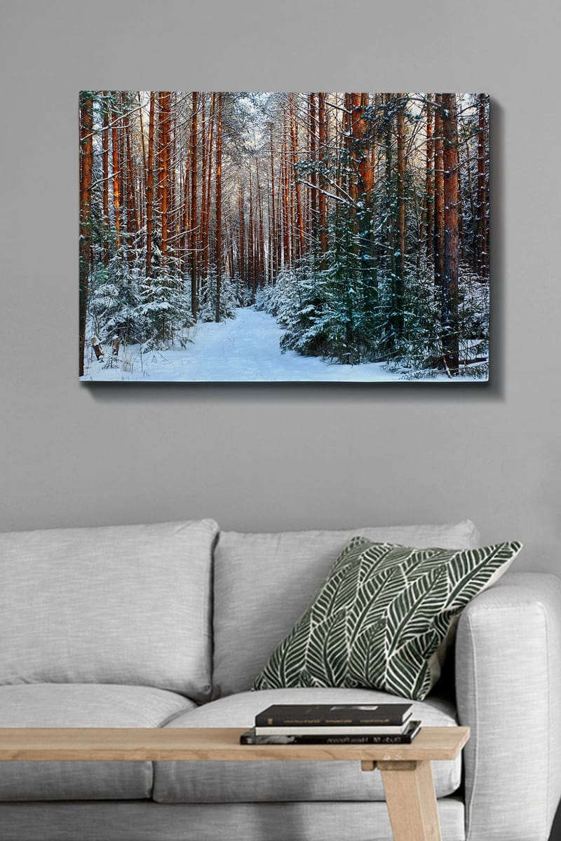 Lærred 70x100 cm - Snedækket skovsti omgivet af høje, rødbrune fyrretræer - Rødbrun / Hvid / Grøn - Boligtilbehør - Billeder & kunst - Billeder på lærred