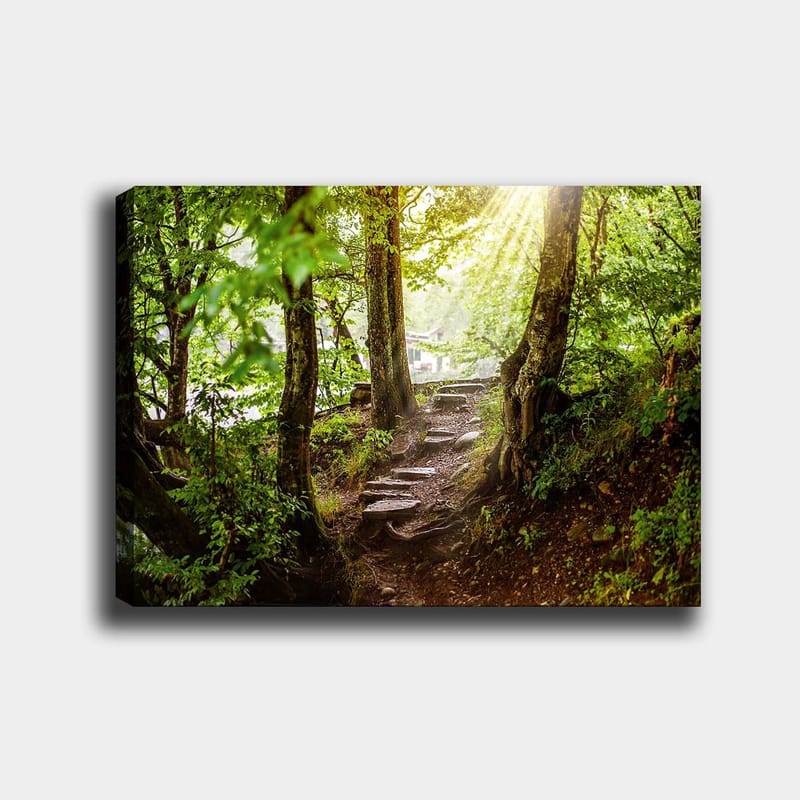 Lærred 70x100 cm - Solbeskinnet sti omgivet af grønne områder i et skovmiljø, Grøn / Brun