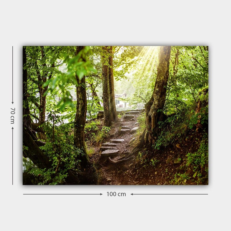 Lærred 70x100 cm - Solbeskinnet sti omgivet af grønne områder i et skovmiljø - Grøn / Brun - Boligtilbehør - Billeder & kunst - Billeder på lærred
