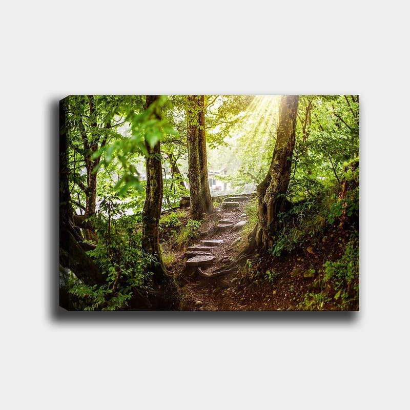 Lærred 70x100 cm - Solbeskinnet sti omgivet af grønne områder i et skovmiljø, Grøn / Brun