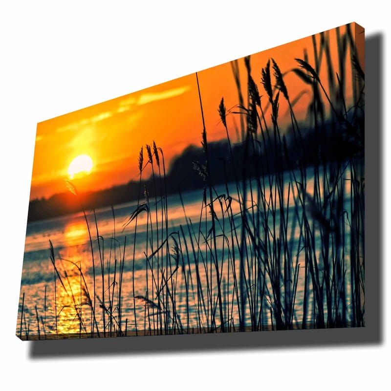 Lærred 70x100 cm - Solnedgang over en rolig vandoverflade med græs der svajer i vinden, Orange / Blå / Sort