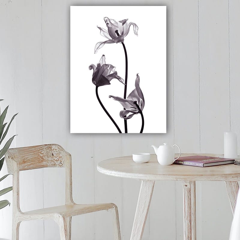Lærred 70x100 cm - Sort-hvide tulipaner med elegante former, der strækker sig mod toppen - Sort / Grå - Boligtilbehør - Billeder & kunst - Billeder på lærred