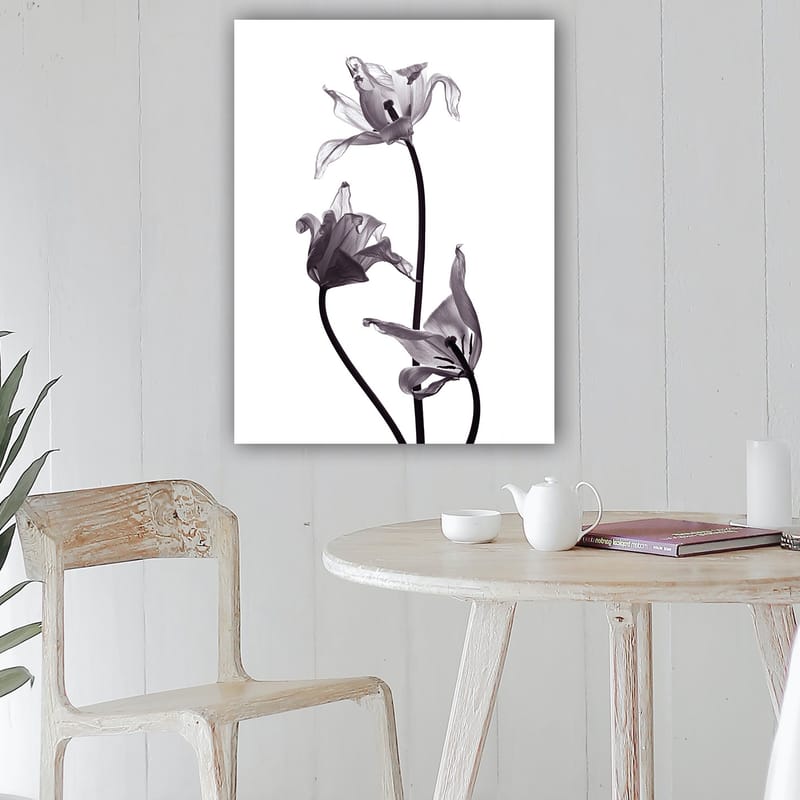 Lærred 70x100 cm - Sort-hvide tulipaner med elegante former, der strækker sig mod toppen - Sort / Grå - Boligtilbehør - Billeder & kunst - Billeder på lærred