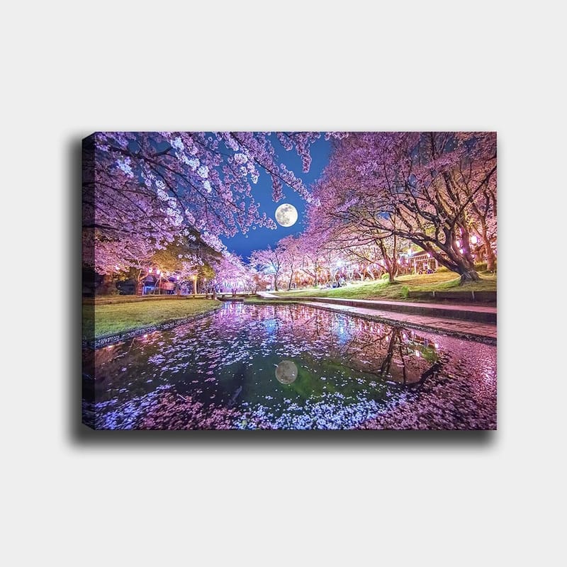 Lærred 70x100 cm - Stemningsfuldt motiv med blomstrende kirsebærtræer og en fuldmåne spejlet i en rolig sø, Lyserød / Blå / Grøn