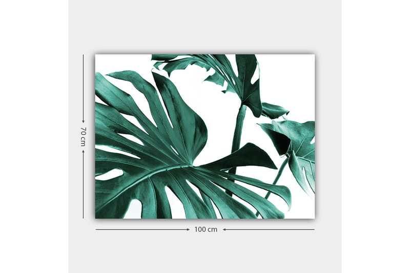Lærred 70x100 cm - Stiliserede grønne palmeblade mod en hvid baggrund - Mørkegrøn / Turkis - Boligtilbehør - Billeder & kunst - Billeder på lærred