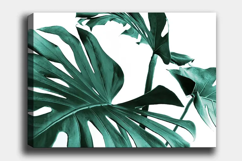 Lærred 70x100 cm - Stiliserede grønne palmeblade mod en hvid baggrund, Mørkegrøn / Turkis