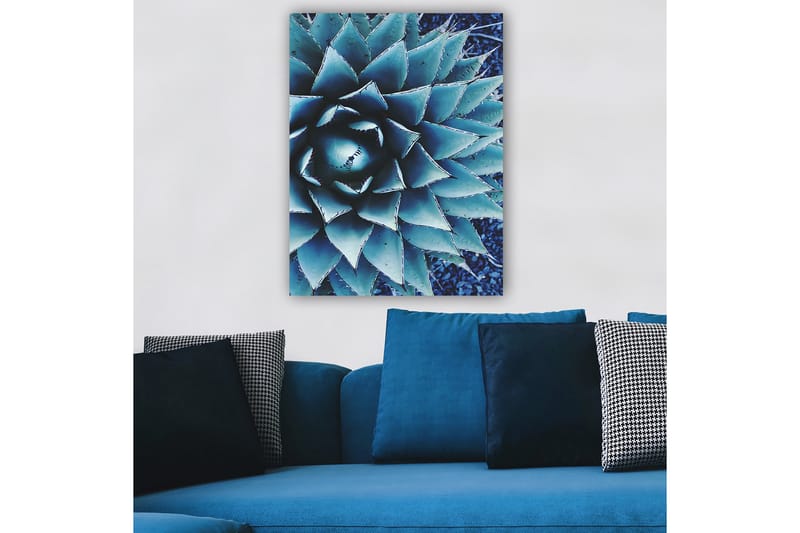 Lærred 70x100 cm - Stiliseret billede af en agaveplante med fokus på dens symmetriske bladstruktur - Blå / Grøn - Boligtilbehør - Billeder & kunst - Billeder på lærred