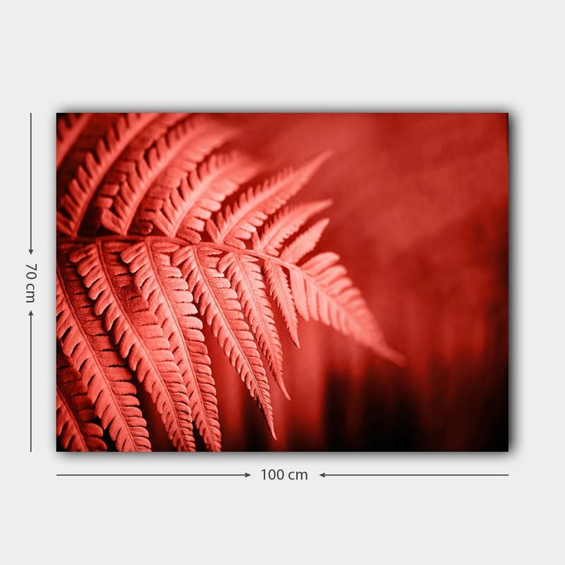 Lærred 70x100 cm - Stiliseret billede af en rødlig bregne, der fremhæver dens detaljer - Rød / Sort - Boligtilbehør - Billeder & kunst - Billeder på lærred