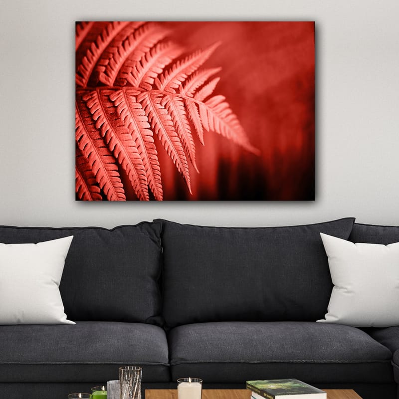 Lærred 70x100 cm - Stiliseret billede af en rødlig bregne, der fremhæver dens detaljer - Rød / Sort - Boligtilbehør - Billeder & kunst - Billeder på lærred