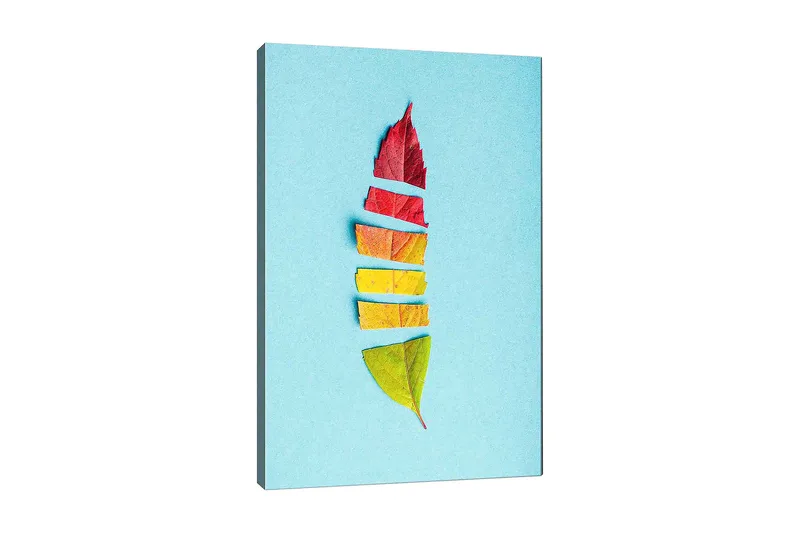 Lærred 70x100 cm - Stiliseret fjer skabt af farverige efterårsblade, Rød / Gul / Grøn