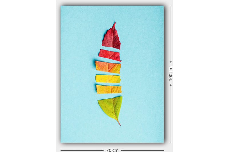 Lærred 70x100 cm - Stiliseret fjer skabt af farverige efterårsblade - Rød / Gul / Grøn - Boligtilbehør - Billeder & kunst - Billeder på lærred