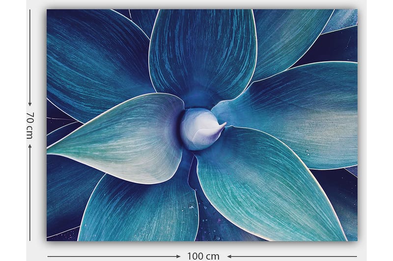 Lærred 70x100 cm - Stiliseret nærbillede af en plante med store, bølgede blade - Blå / Turkis - Boligtilbehør - Billeder & kunst - Billeder på lærred