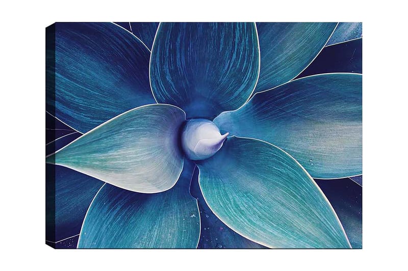 Lærred 70x100 cm - Stiliseret nærbillede af en plante med store, bølgede blade, Blå / Turkis