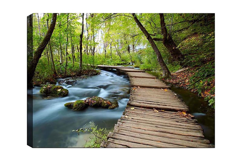 Lærred 70x100 cm - Stille skovsti, der snor sig over en rislende bæk omgivet af frodige træer og vegetation, Grøn / Brun / Blå