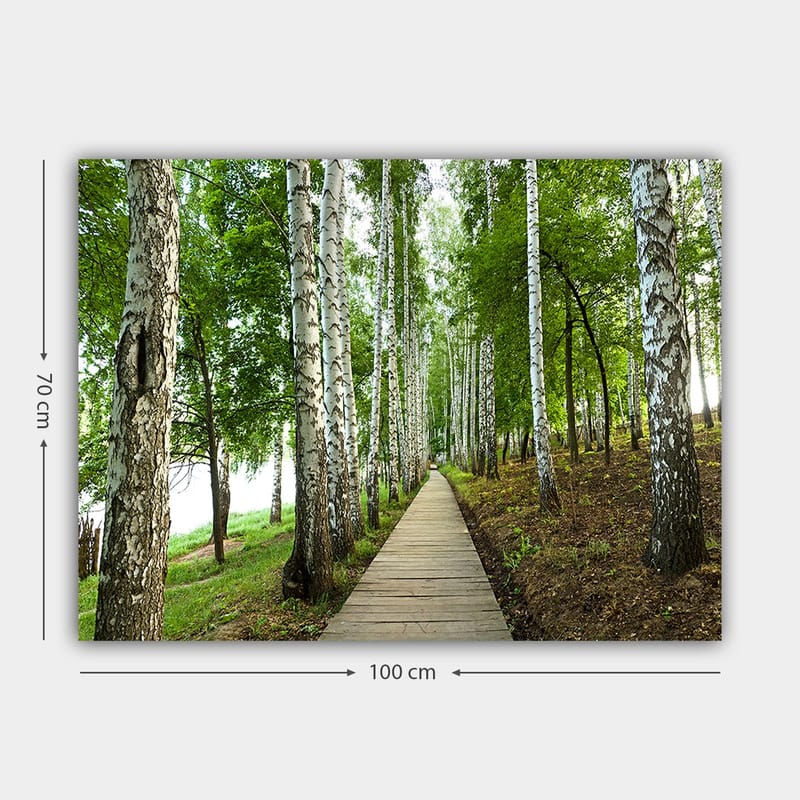 Lærred 70x100 cm - Stille skovvej omgivet af birketræer og frodig vegetation - Grøn / Hvid / Brun - Boligtilbehør - Billeder & kunst - Billeder på lærred