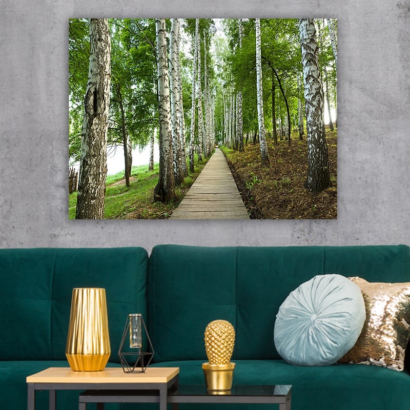 Lærred 70x100 cm - Stille skovvej omgivet af birketræer og frodig vegetation - Grøn / Hvid / Brun - Boligtilbehør - Billeder & kunst - Billeder på lærred