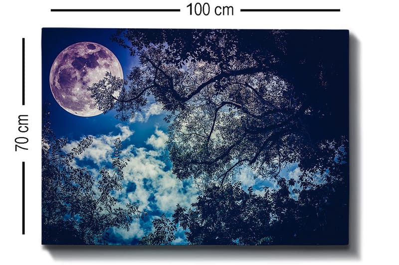 Lærred 70x100 cm - Stjernenat med en stor måne, der skinner gennem træernes grene - Mørkeblå / Lyseblå / Lilla - Boligtilbehør - Billeder & kunst - Billeder på lærred