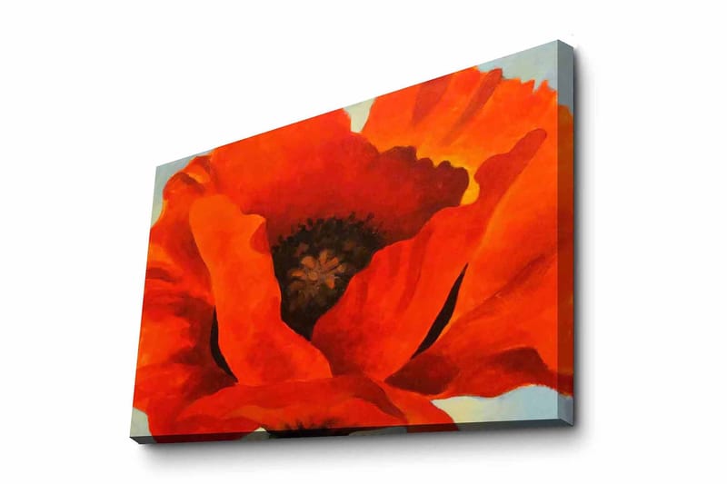 Lærred 70x100 cm - Stor, farverig valmue med intense røde og orange toner, Rød / Orange