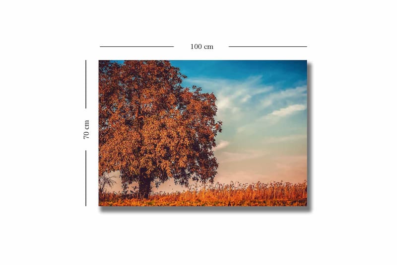 Lærred 70x100 cm - Stor, orange trækrone i efterårsfarver mod en klar blå himmel - Orange / Blå / Beige - Boligtilbehør - Billeder & kunst - Billeder på lærred