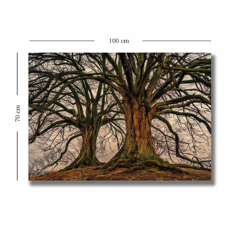 Lærred 70x100 cm - Storslåede træer med stærke grene og detaljeret bark - Mørkebrun / Grøn / Beige - Boligtilbehør - Billeder & kunst - Billeder på lærred