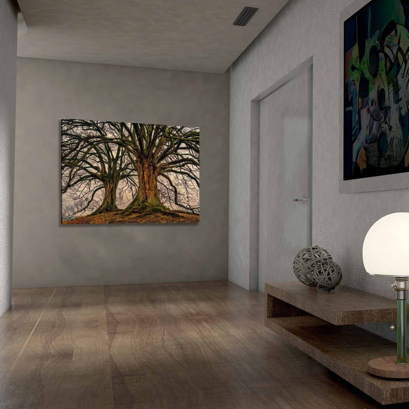 Lærred 70x100 cm - Storslåede træer med stærke grene og detaljeret bark - Mørkebrun / Grøn / Beige - Boligtilbehør - Billeder & kunst - Billeder på lærred