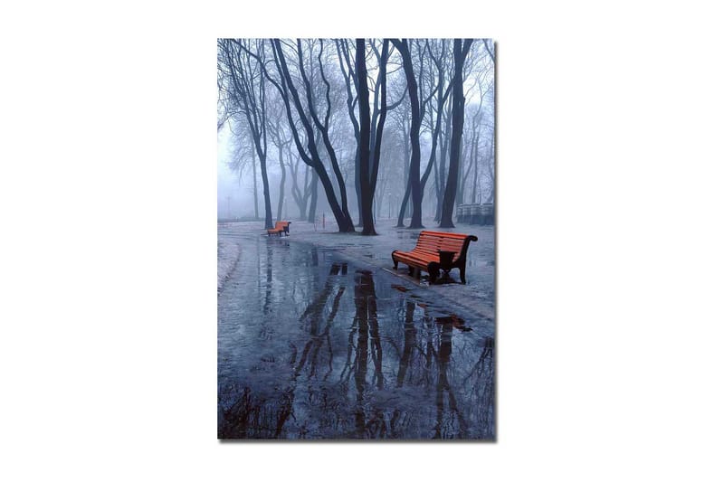 Lærred 70x100 cm - Tåget park med to orange bænke omgivet af kolde, bare træer, Orange / Blå / Grå