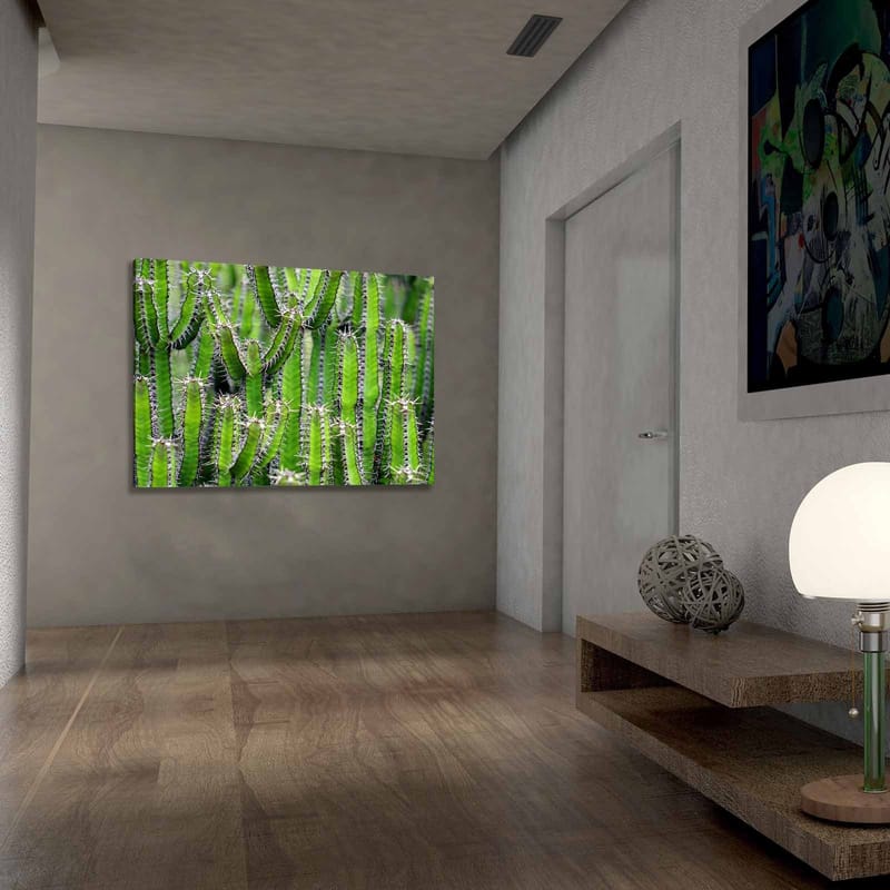 Lærred 70x100 cm - Tæt samling af kaktus med lange, smalle stængler og torne - Grøn / Lysegrøn - Boligtilbehør - Billeder & kunst - Billeder på lærred