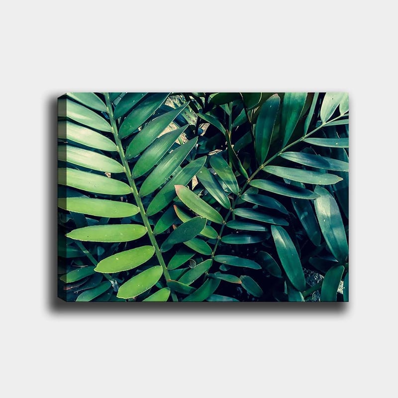 Lærred 70x100 cm - Tætvævede grønne planteblade, der skaber en frodig og levende følelse, Mørkegrøn / Lysegrøn