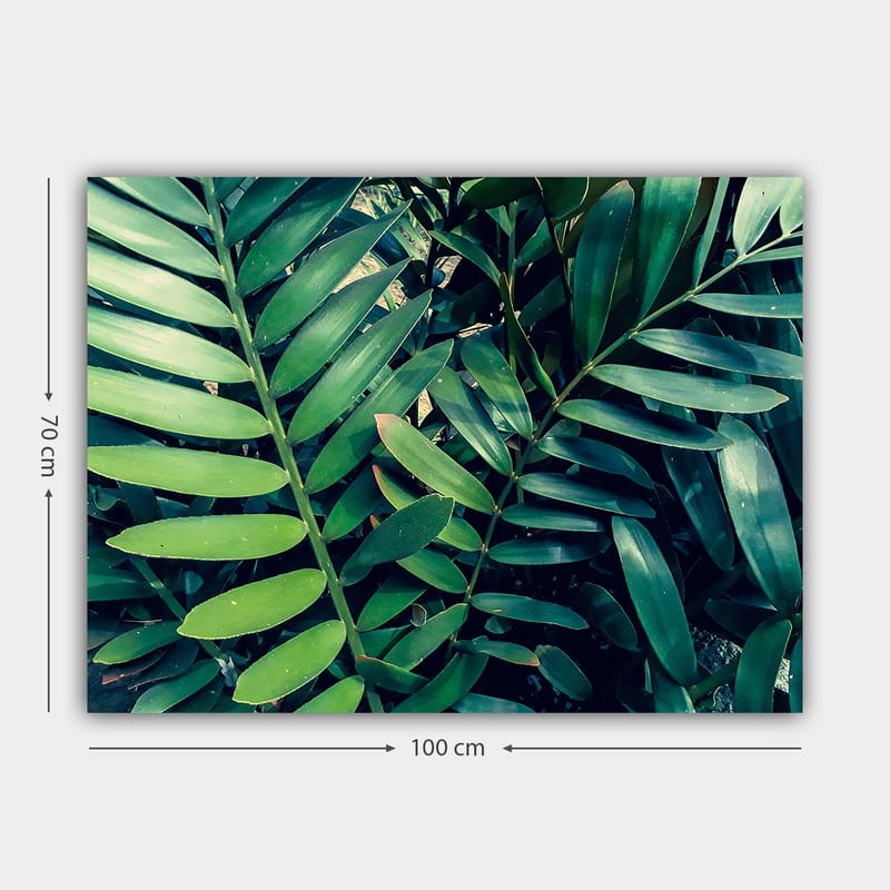 Lærred 70x100 cm - Tætvævede grønne planteblade, der skaber en frodig og levende følelse - Mørkegrøn / Lysegrøn - Boligtilbehør - Billeder & kunst - Billeder på lærred