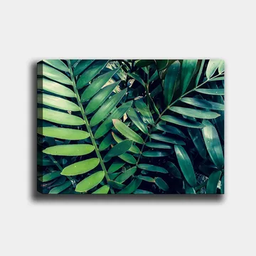 Lærred 70x100 cm - Tætvævede grønne planteblade, der skaber en frodig og levende følelse - Mørkegrøn / Lysegrøn - Boligtilbehør - Billeder & kunst - Billeder på lærred