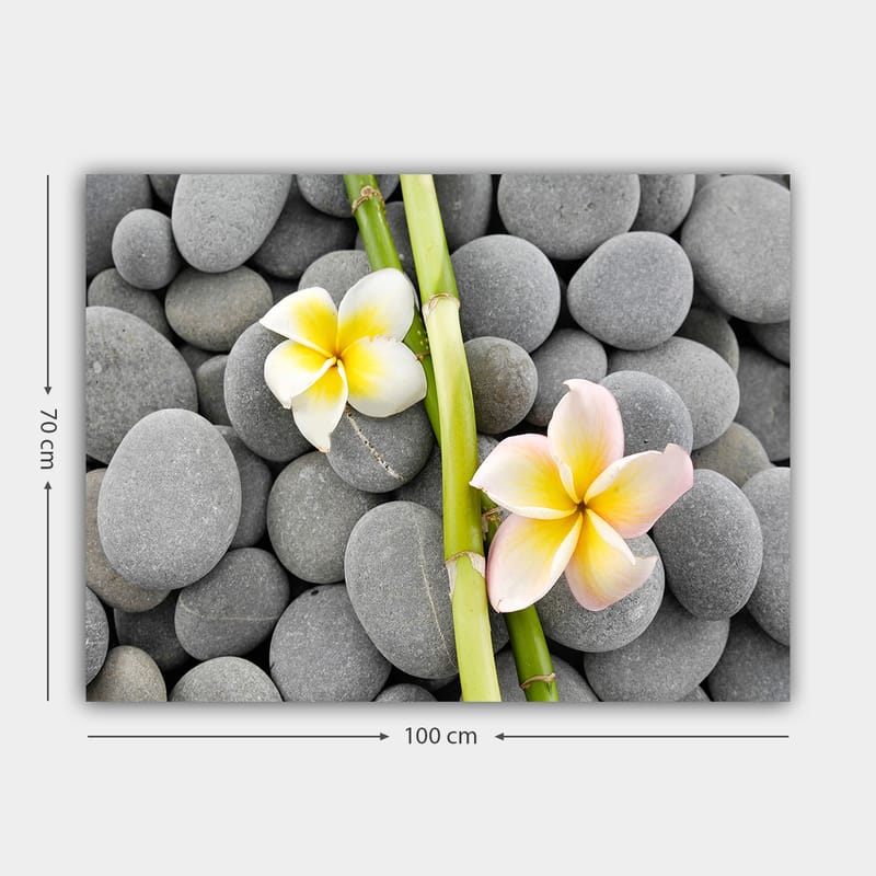 Lærred 70x100 cm - To blomster i pastelfarver liggende på en samling af grå sten - Grå / Gul / Lyserød - Boligtilbehør - Billeder & kunst - Billeder på lærred