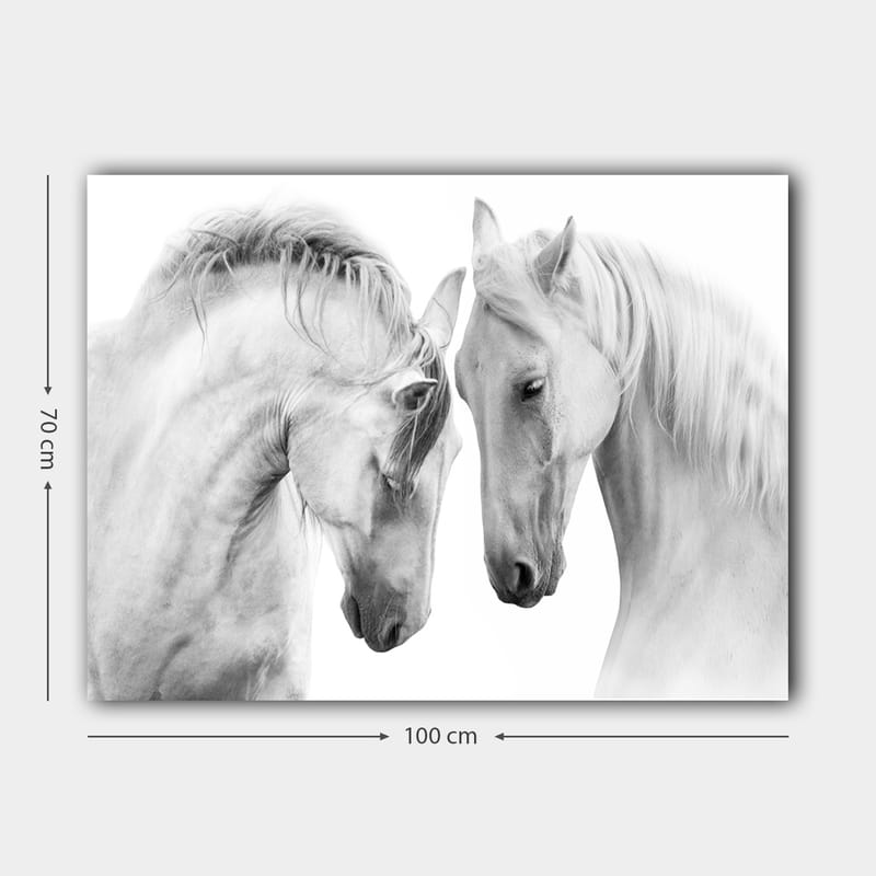 Lærred 70x100 cm - To elegante heste, der står tæt på hinanden og viser en følelse af samhørighed - Hvid / Grå - Boligtilbehør - Billeder & kunst - Billeder på lærred