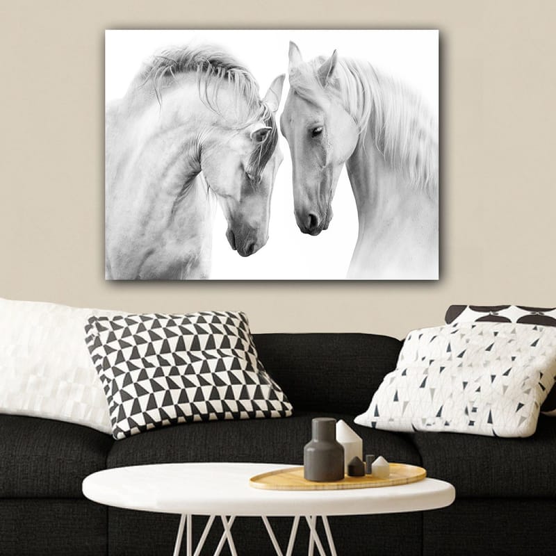 Lærred 70x100 cm - To elegante heste, der står tæt på hinanden og viser en følelse af samhørighed - Hvid / Grå - Boligtilbehør - Billeder & kunst - Billeder på lærred