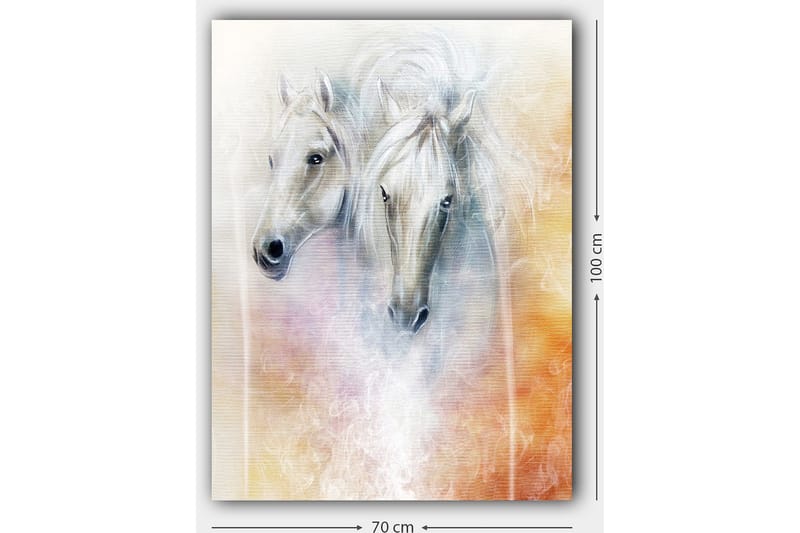 Lærred 70x100 cm - To elegante heste i en blød og drømmeagtig komposition - Hvid / Lysegrå / Orange - Boligtilbehør - Billeder & kunst - Billeder på lærred