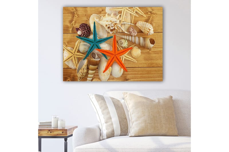 Lærred 70x100 cm - To farverige søstjerner i orange og turkis blandt skaller på en træoverflade, Turkis / Orange / Beige