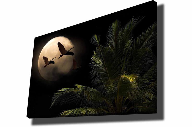 Lærred 70x100 cm - To fugle der flyver mod en stor måne over en palmelignende plante - Mørkegrøn / Grå / Beige - Boligtilbehør - Billeder & kunst - Billeder på lærred