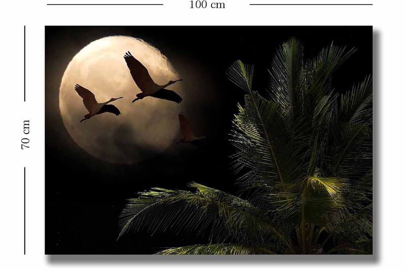 Lærred 70x100 cm - To fugle der flyver mod en stor måne over en palmelignende plante - Mørkegrøn / Grå / Beige - Boligtilbehør - Billeder & kunst - Billeder på lærred